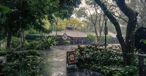 monsoon home care singapore