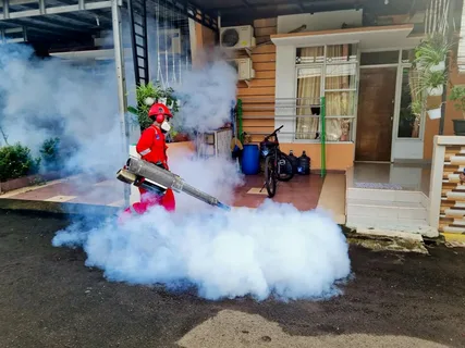 natural pest control singapore